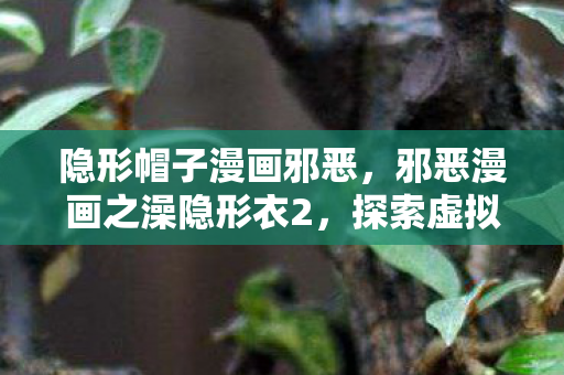 隐形帽子漫画邪恶，邪恶漫画之澡隐形衣2，探索虚拟世界的奇妙之旅