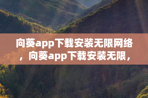 向葵app下载安装无限网络,向葵app下载安装无限,便捷高效,尽享无限可能 向葵app下载安装无限网络,向葵app下载安装无限,便捷高效,尽享无限可能
