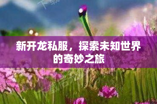 新开龙私服,探索未知世界的奇妙之旅 新开龙私服,探索未知世界的奇妙之旅