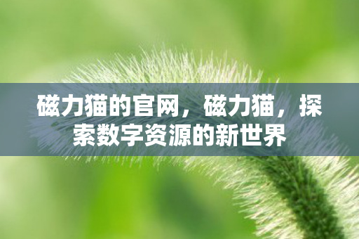 磁力猫的官网,磁力猫,探索数字资源的新世界 磁力猫的官网,磁力猫,探索数字资源的新世界