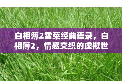 白相簿2雪菜经典语录，白相簿2，情感交织的虚拟世界