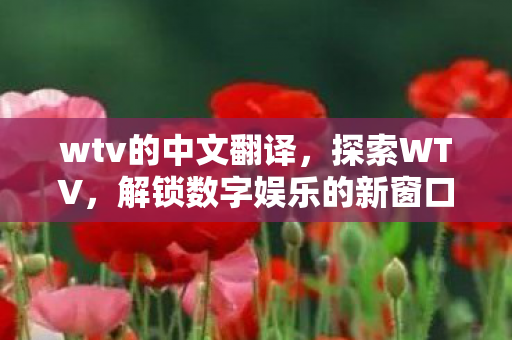 wtv的中文翻译，探索WTV，解锁数字娱乐的新窗口