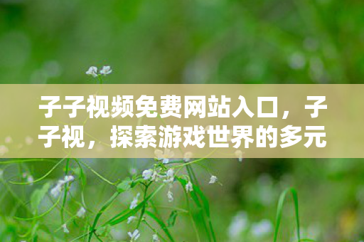 子子视频免费网站入口，子子视，探索游戏世界的多元体验与官方服务的独特魅力
