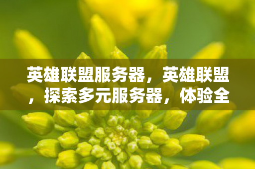 英雄联盟服务器,英雄联盟,探索多元服务器,体验全球电竞魅力 英雄联盟服务器,英雄联盟,探索多元服务器,体验全球电竞魅力