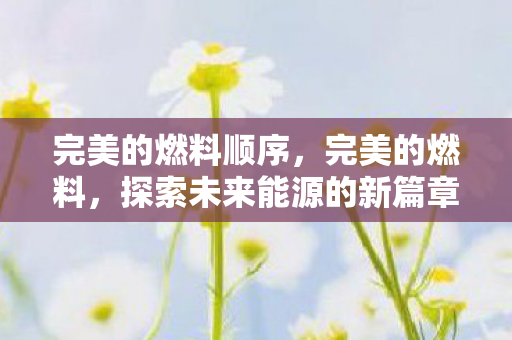 完美的燃料顺序，完美的燃料，探索未来能源的新篇章