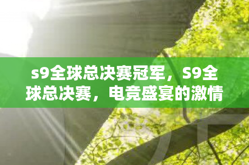 s9全球总决赛冠军，S9全球总决赛，电竞盛宴的激情与荣耀