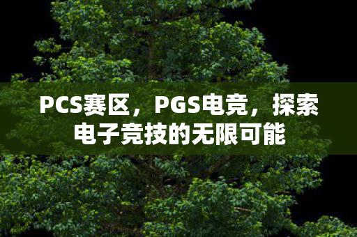 PCS赛区，PGS电竞，探索电子竞技的无限可能