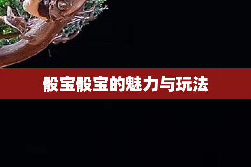 骰宝骰宝的魅力与玩法 骰宝骰宝的魅力与玩法