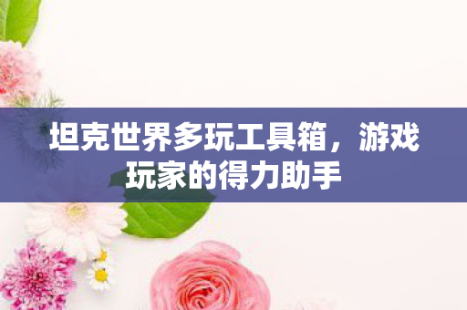 坦克世界多玩工具箱，游戏玩家的得力助手