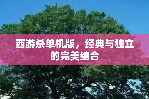 西游杀单机版，经典与独立的完美结合