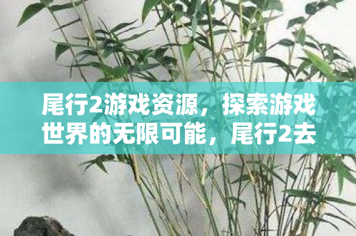 尾行2游戏资源，探索游戏世界的无限可能，尾行2去马赛克补丁的深度解析