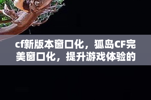 cf新版本窗口化，狐岛CF完美窗口化，提升游戏体验的必备指南