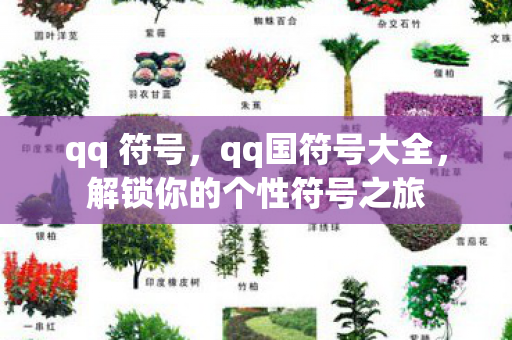 qq 符号，qq国符号大全，解锁你的个性符号之旅