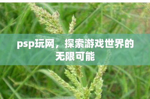 psp玩网，探索游戏世界的无限可能