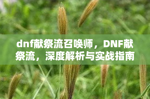 dnf献祭流召唤师,DNF献祭流,深度解析与实战指南 dnf献祭流召唤师,DNF献祭流,深度解析与实战指南