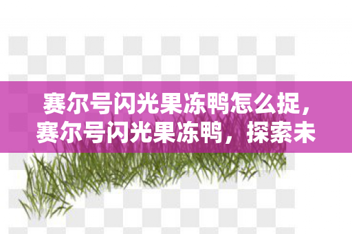 赛尔号闪光果冻鸭怎么捉,赛尔号闪光果冻鸭,探索未知,挑战极限 赛尔号闪光果冻鸭怎么捉,赛尔号闪光果冻鸭,探索未知,挑战极限