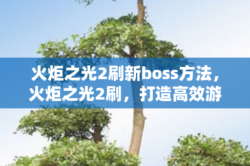 火炬之光2刷新boss方法，火炬之光2刷，打造高效游戏攻略，提升角色实力