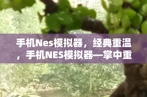 手机Nes模拟器，经典重温，手机NES模拟器—掌中重温童年经典游戏