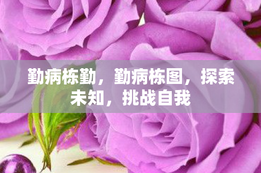 勤病栋勤，勤病栋图，探索未知，挑战自我