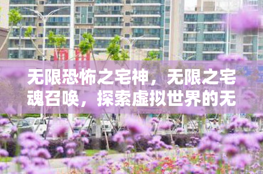 无限恐怖之宅神，无限之宅魂召唤，探索虚拟世界的无限可能