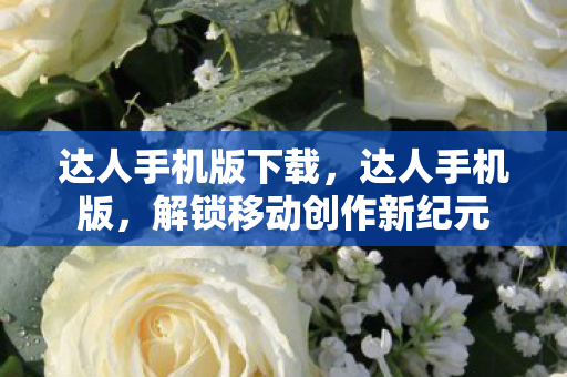 达人手机版下载，达人手机版，解锁移动创作新纪元