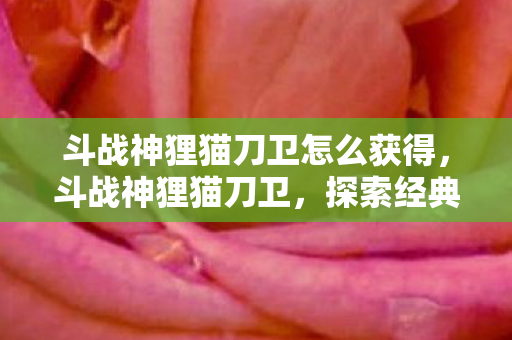 斗战神狸猫刀卫怎么获得，斗战神狸猫刀卫，探索经典游戏的独特魅力