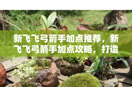 新飞飞弓箭手加点推荐，新飞飞弓箭手加点攻略，打造高效战斗力的关键