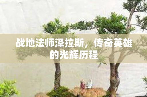 战地法师泽拉斯,传奇英雄的光辉历程 战地法师泽拉斯,传奇英雄的光辉历程