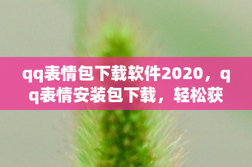 qq表情包下载软件2020，qq表情安装包下载，轻松获取，丰富你的聊天体验