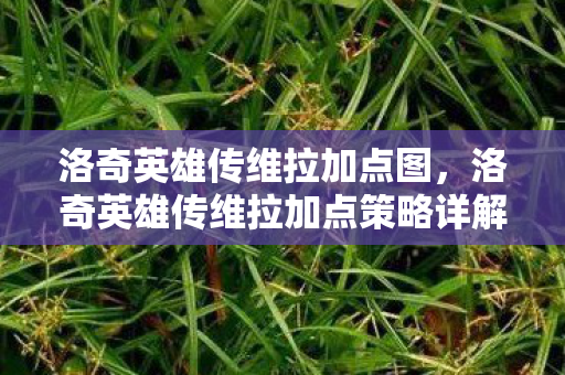 洛奇英雄传维拉加点图，洛奇英雄传维拉加点策略详解