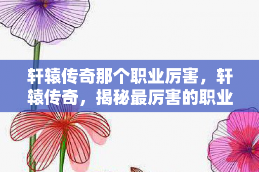 轩辕传奇那个职业厉害，轩辕传奇，揭秘最厉害的职业