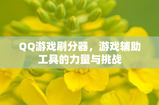 QQ游戏刷分器,游戏辅助工具的力量与挑战 QQ游戏刷分器,游戏辅助工具的力量与挑战