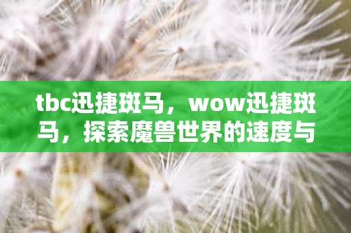tbc迅捷斑马，wow迅捷斑马，探索魔兽世界的速度与激情