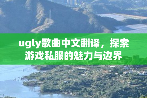 ugly歌曲中文翻译,探索游戏私服的魅力与边界 ugly歌曲中文翻译,探索游戏私服的魅力与边界