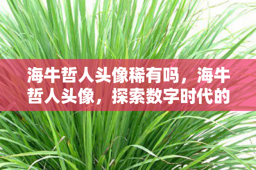 海牛哲人头像稀有吗，海牛哲人头像，探索数字时代的自我表达与个性塑造