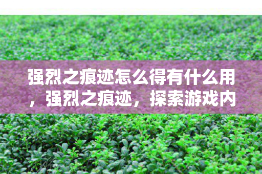 强烈之痕迹怎么得有什么用，强烈之痕迹，探索游戏内隐藏成就与彩蛋的奥秘