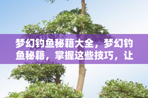 梦幻钓鱼秘籍大全，梦幻钓鱼秘籍，掌握这些技巧，让你成为钓鱼高手