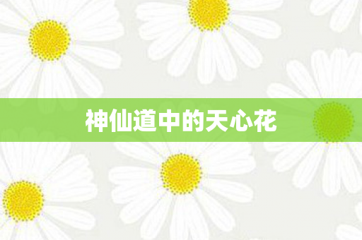 神仙道中的天心花 神仙道中的天心花
