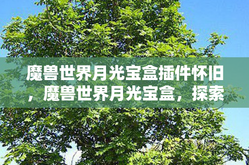 魔兽世界月光宝盒插件怀旧，魔兽世界月光宝盒，探索经典与传承的奇妙之旅