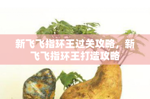 新飞飞指环王过关攻略，新飞飞指环王打造攻略