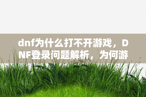 dnf为什么打不开游戏，DNF登录问题解析，为何游戏无法打开