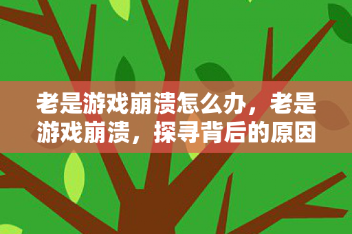 老是游戏崩溃怎么办，老是游戏崩溃，探寻背后的原因与解决方案