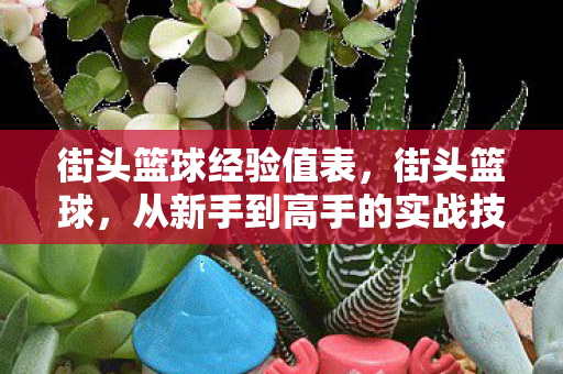 街头篮球经验值表,街头篮球,从新手到高手的实战技巧与心得 街头篮球经验值表,街头篮球,从新手到高手的实战技巧与心得