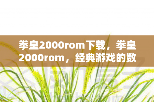 拳皇2000rom下载,拳皇2000rom,经典游戏的数字记忆 拳皇2000rom下载,拳皇2000rom,经典游戏的数字记忆