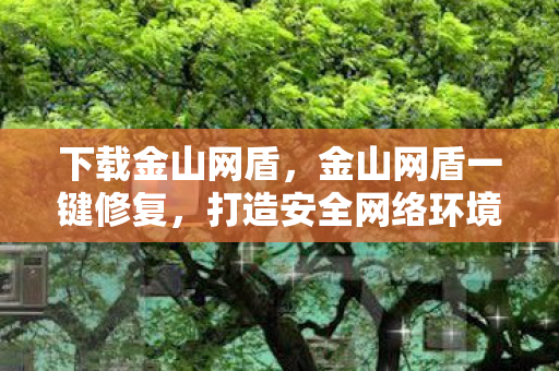 下载金山网盾,金山网盾一键修复,打造安全网络环境的利器 下载金山网盾,金山网盾一键修复,打造安全网络环境的利器