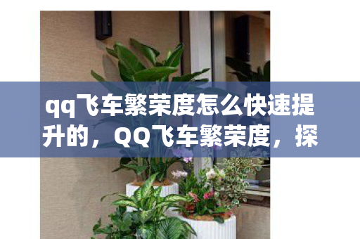 qq飞车繁荣度怎么快速提升的，QQ飞车繁荣度，探索游戏生态的奥秘