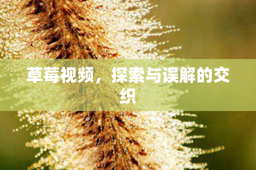 草莓视频，探索与误解的交织