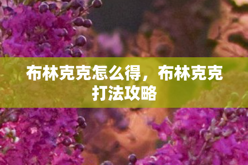 布林克克怎么得，布林克克打法攻略