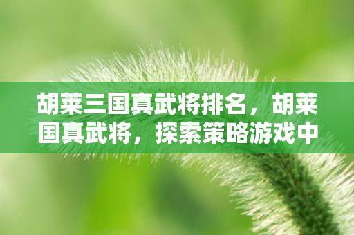 胡莱三国真武将排名,胡莱国真武将,探索策略游戏中的英雄之旅 胡莱三国真武将排名,胡莱国真武将,探索策略游戏中的英雄之旅