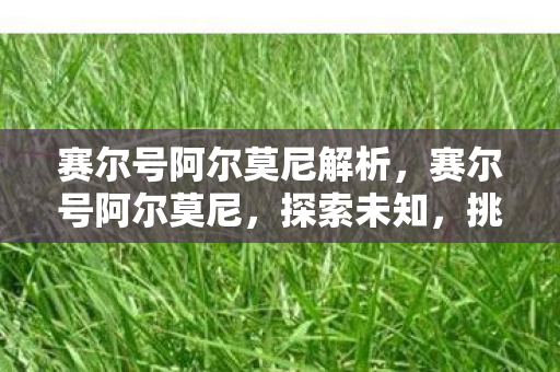 赛尔号阿尔莫尼解析,赛尔号阿尔莫尼,探索未知,挑战极限的奇幻之旅 赛尔号阿尔莫尼解析,赛尔号阿尔莫尼,探索未知,挑战极限的奇幻之旅